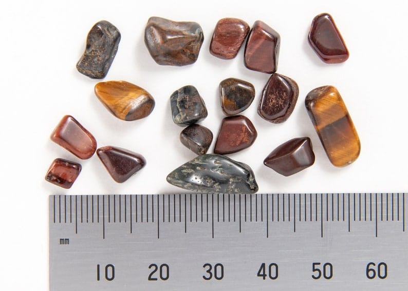 Brown Shell Chips