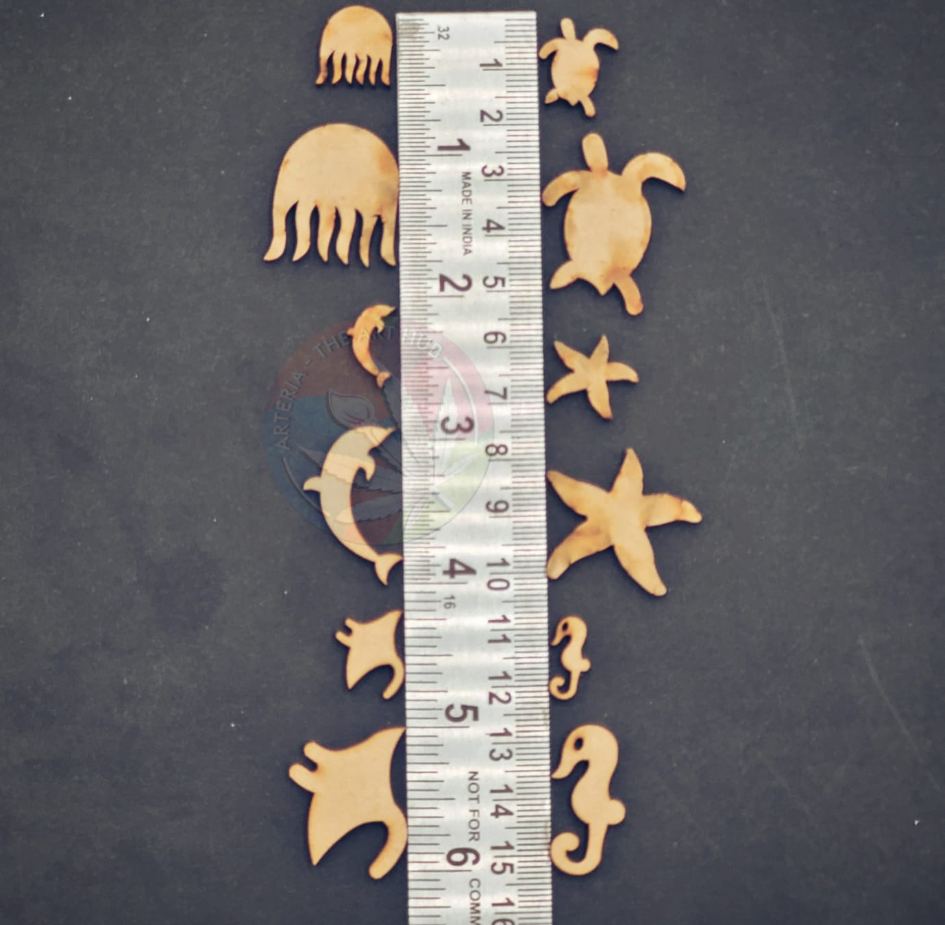 Mdf Sea creatures 21 pc