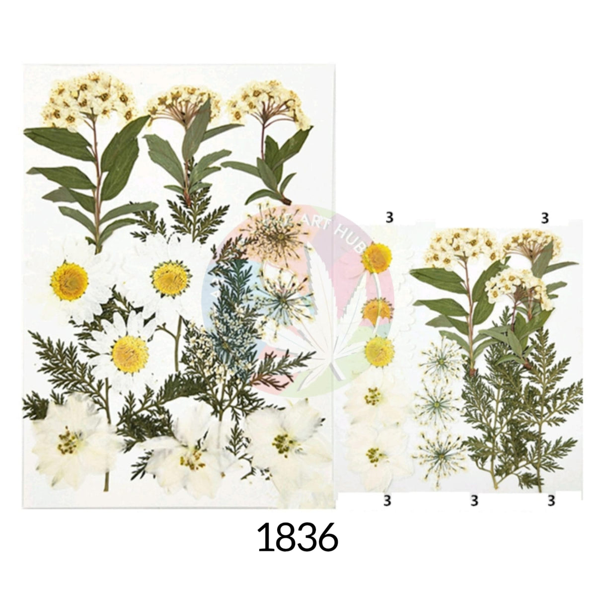 15 IN 1 Pressed Flower