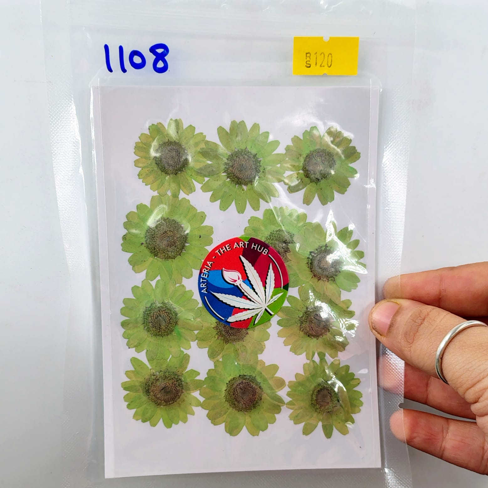 Pressed Daisies Neon Green