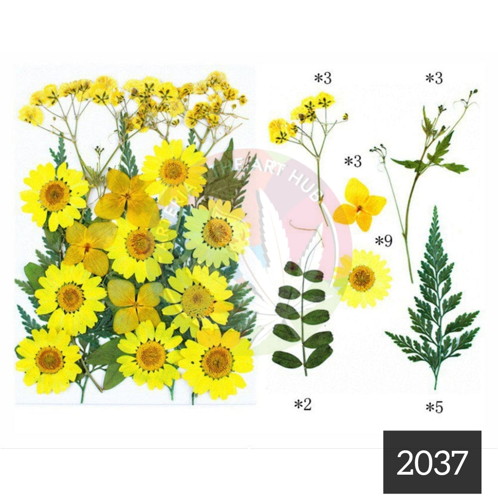 25 in 1 Pressed Flower 4