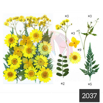 25 in 1 Pressed Flower 4