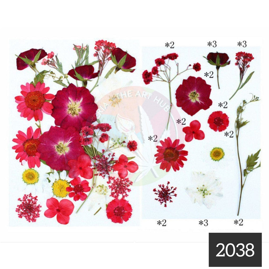 25 in 1 Pressed Flower 5