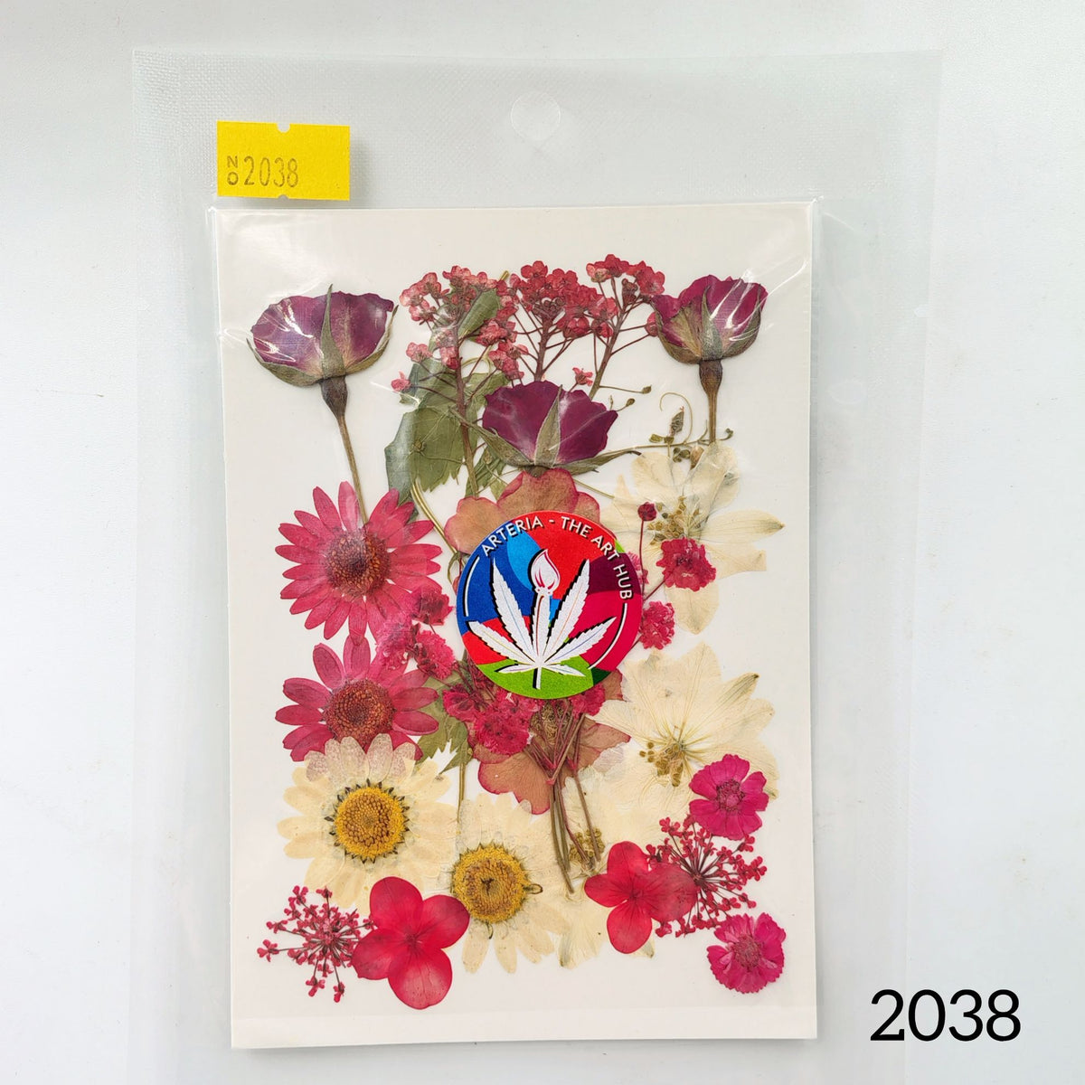 25 in 1 Pressed Flower 5