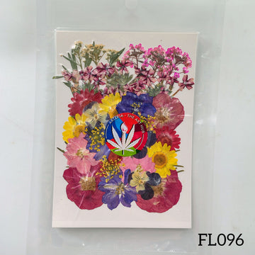 30 IN 1 Pressed Flower FL096