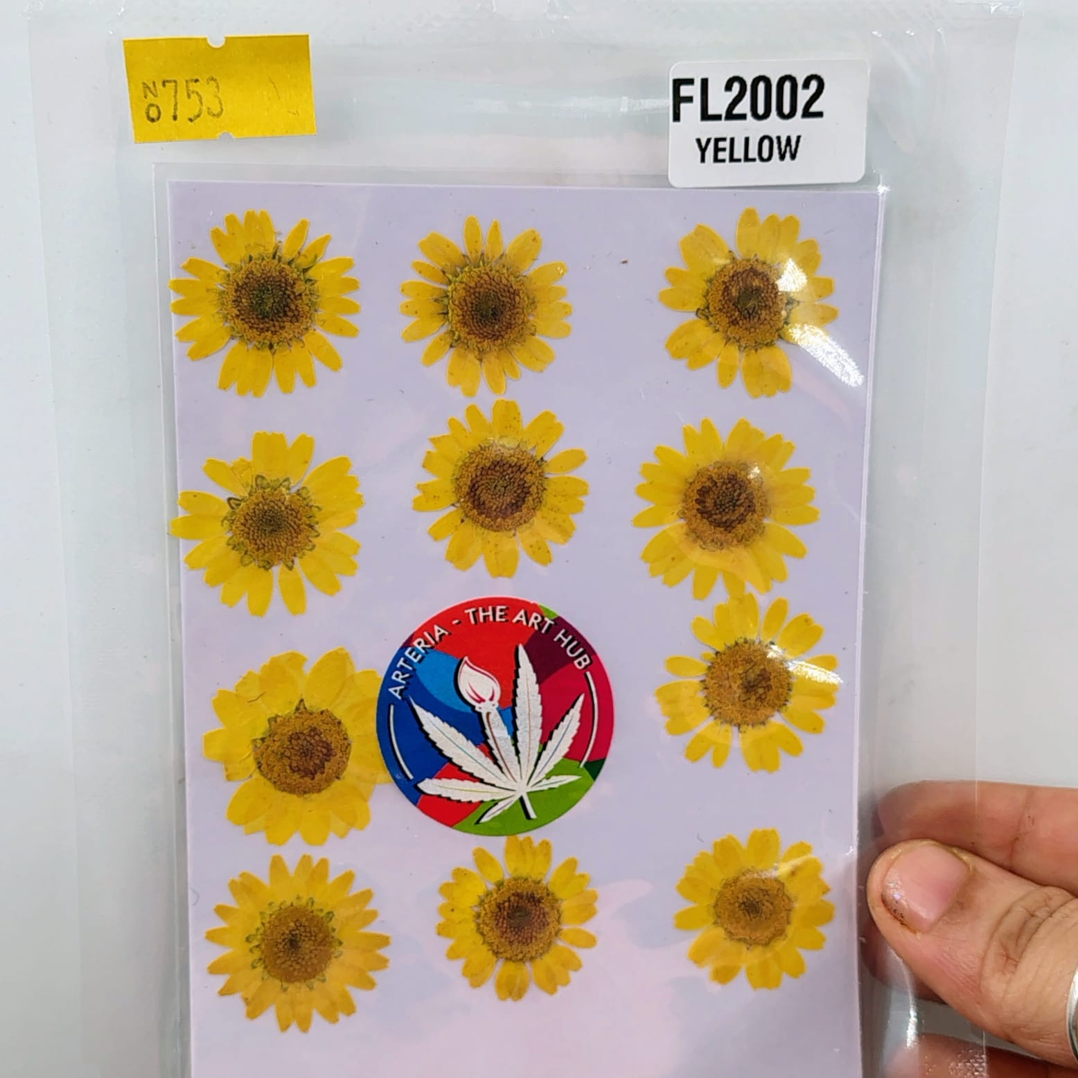 Pressed Daisies- yellow