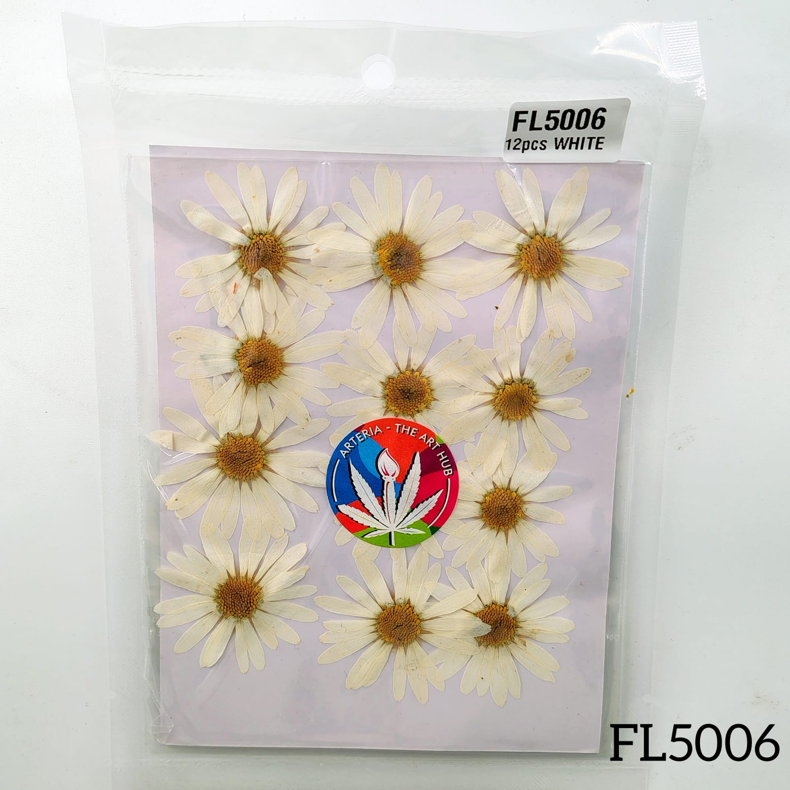 Pressed Daisies- New- white