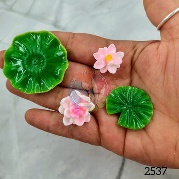 Miniature Lotus Lily Pads